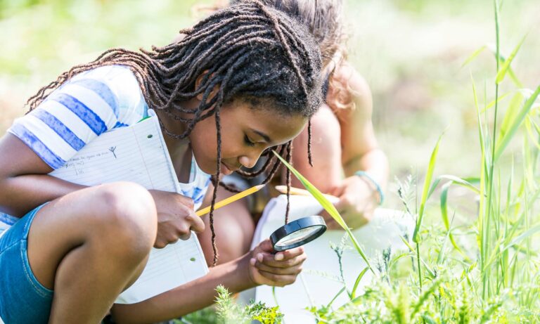 A multi-ethnic group of elementary school children are outdoors on a sunny day. They are wearing casual clothing. They are learning about nature in science class.